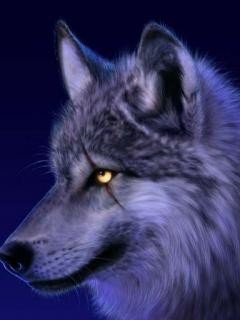 file_81061113