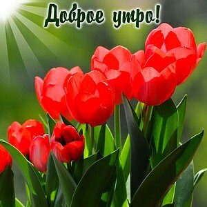 IMG 20181110 192730 307