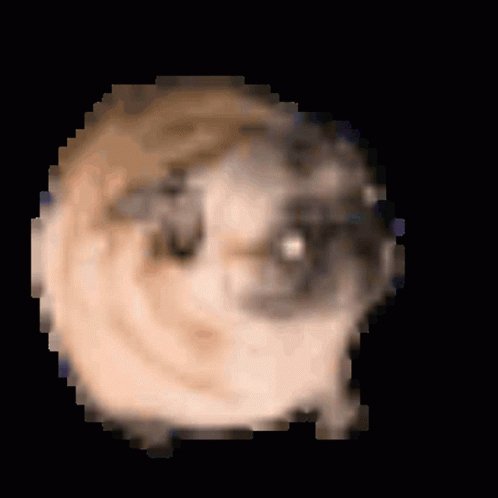 11-25 06-49-20 0