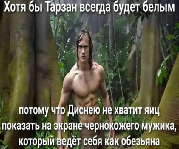 file_103378466
