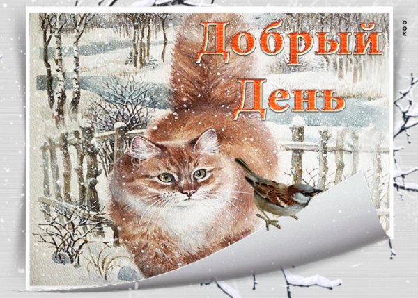 file_98975531