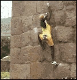 original gif 03