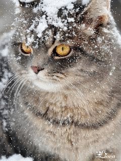 file_59367213