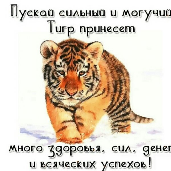 Удачи от тигра!