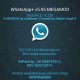WhatsApp Plus v5.95 2.11.238