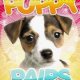 Puppy Pairs