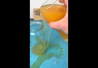 video_86768946