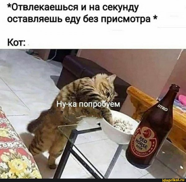 7d3af795775c262bdc8fe6cd8f99cfea868e2589b521 1