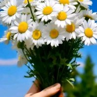 file_103170003