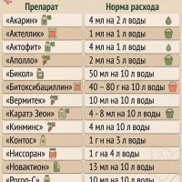 Препараты для борьбы со смородиновым клещом