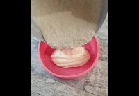 Video 32@16-11-2021 07-21-00