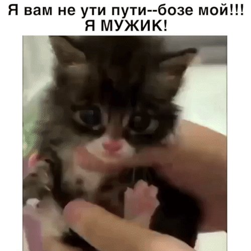 file_92968377