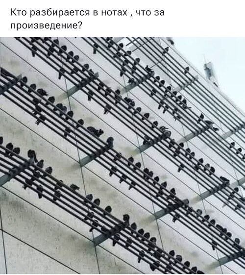 x500