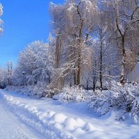 Зима. Дорога.