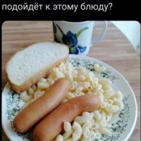 file_103603313