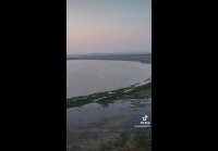 video_107800403