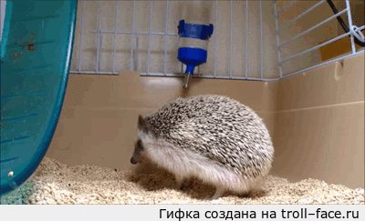 Почесался