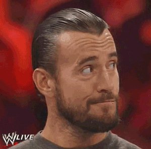 Punk14-1