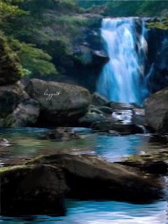 file_51775667
