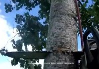Инструкция по сборке изделия Плот
