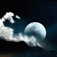 file_72950667