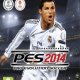 PES 2014 for N73