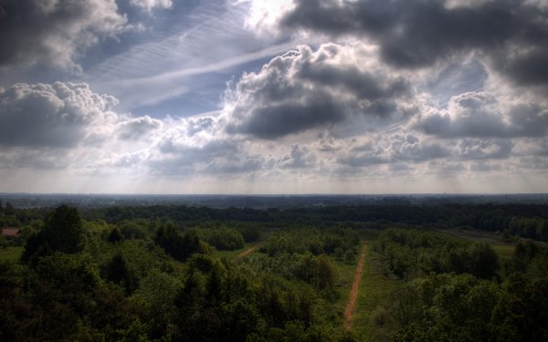 Image ) (27)