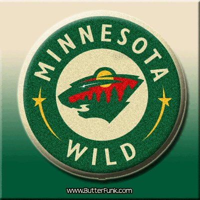 0 nhl hockey minnesota wild