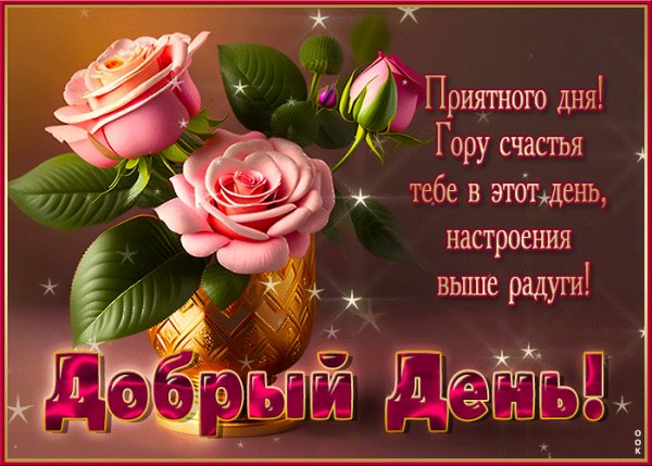 file_98975554