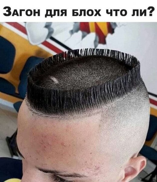 1ena ne 1ena ededa7dcc40e4703b9948d74668a9cc1