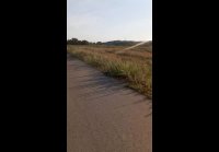 video_108326376