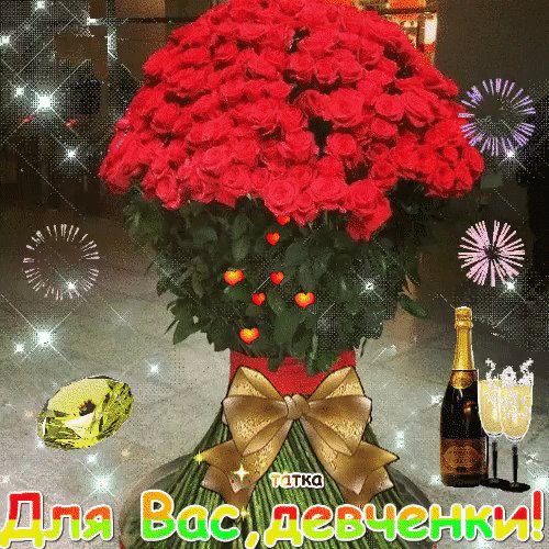 IMG 20171124 135254 64