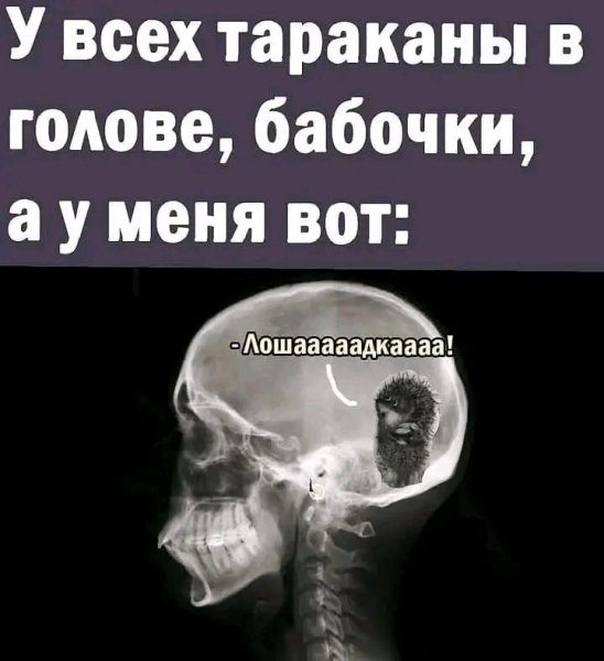 file_103592532