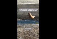 Проблемы )