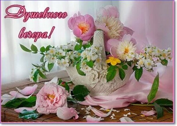IMG 20190103 840918