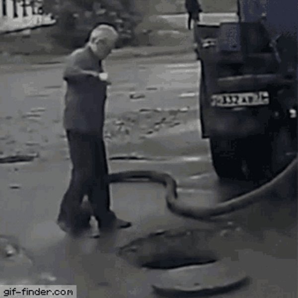 Ups