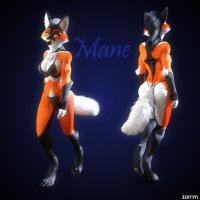 Furry-фэндомы-furry-art-furry-f-6340001
