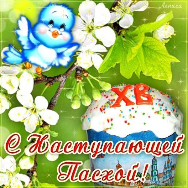 nK7SeR2Hf7g