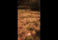 Воспоминания из детства