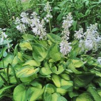 file_75054452