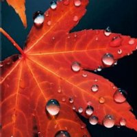 file_94971910
