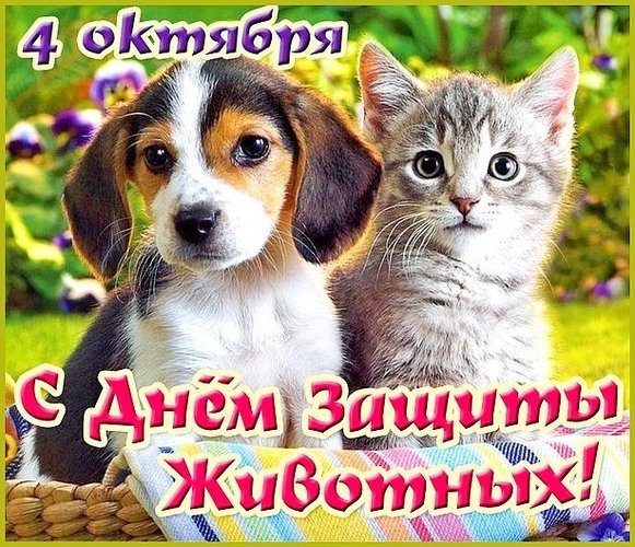 Открытка 4 октября с днем защиты животных