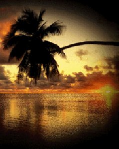 Sea Sunset