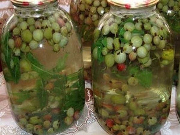 image (11)