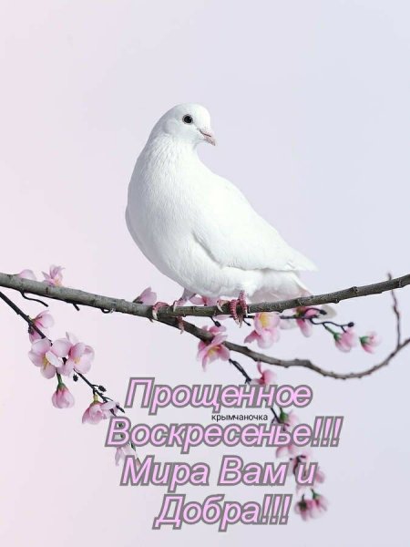 file_92863072