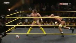 Hurrincanrana into pin