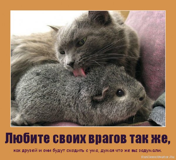 О КАК...