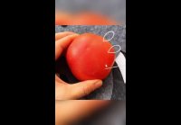 Videoplayback - 2025-05-21T012001.054