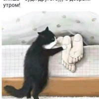 file_103603307