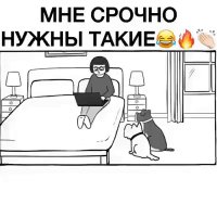 gif 1537769049